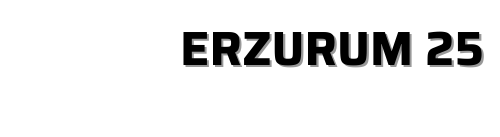 Erzurum25 Evden Eve Nakliyat logosu